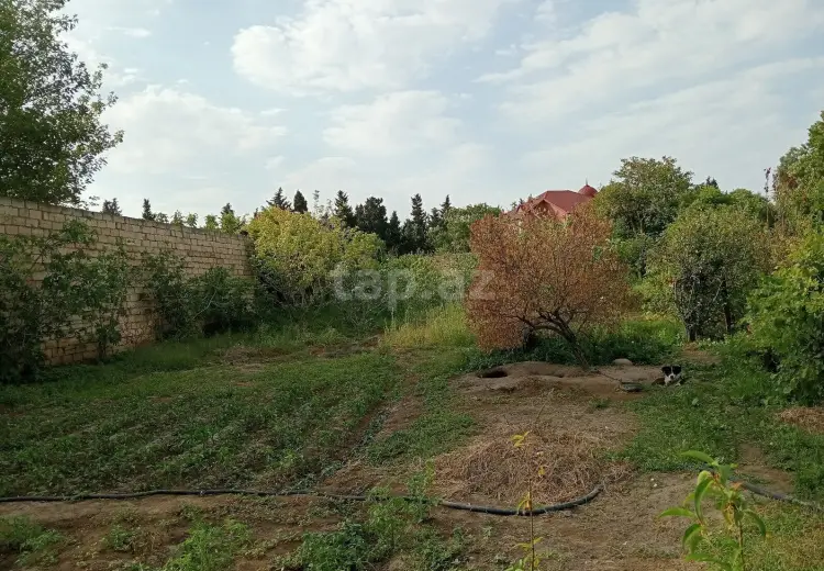 0 m² Obyekt / Ofis , Novxanı, Abşeron