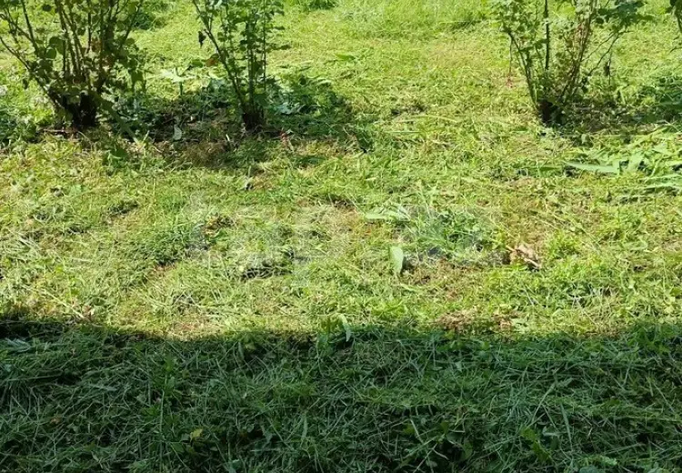 0 m² Obyekt / Ofis , Oğuz