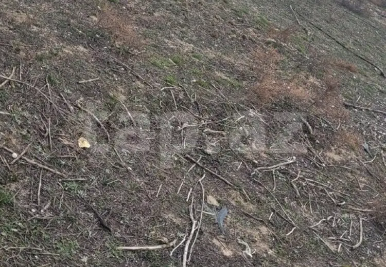0 m² Obyekt / Ofis , Bakı