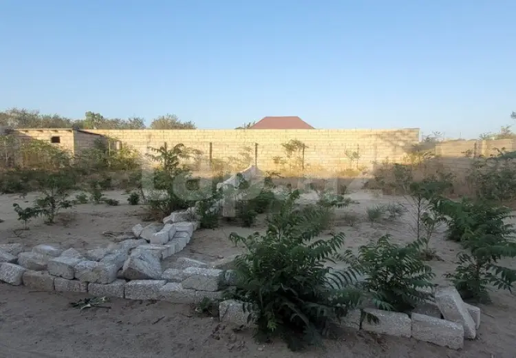 0 m² Obyekt / Ofis , Nardaran qəs., Sabunçu, Bakı