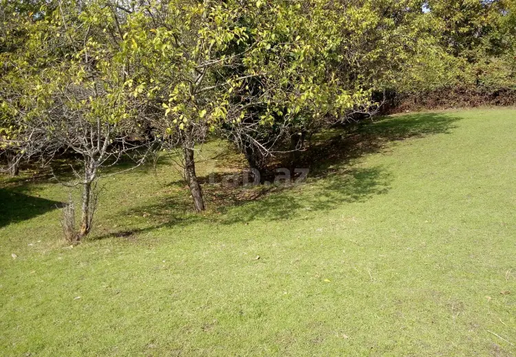 0 m² Obyekt / Ofis , İsmayıllı