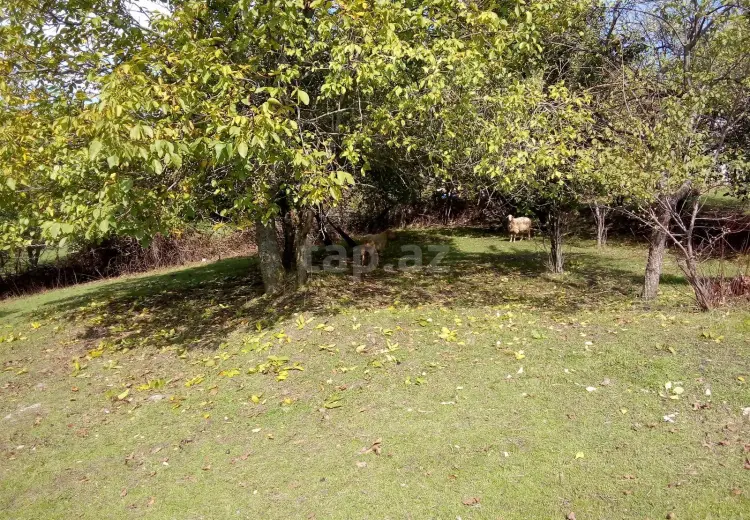 0 m² Obyekt / Ofis , İsmayıllı