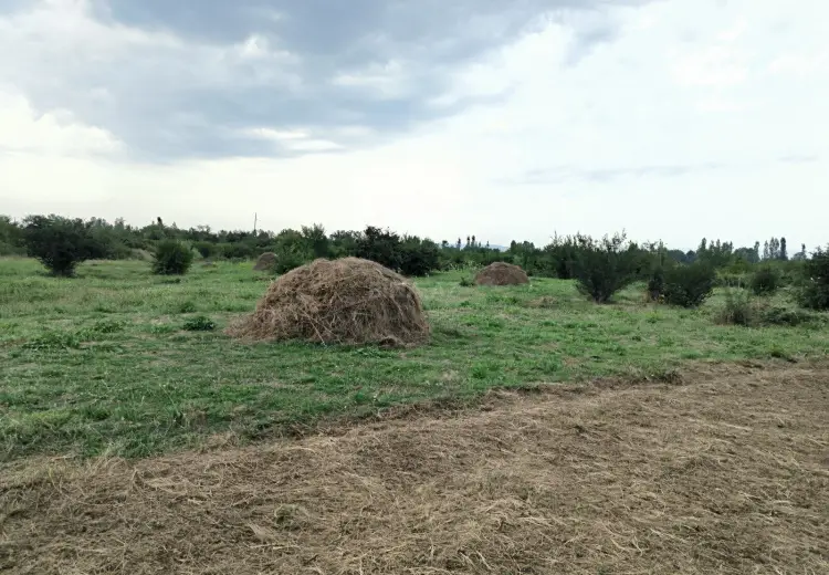 250 sot Torpaq Satılır, Qəbələ