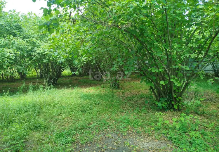 0 m² Obyekt / Ofis , İsmayıllı