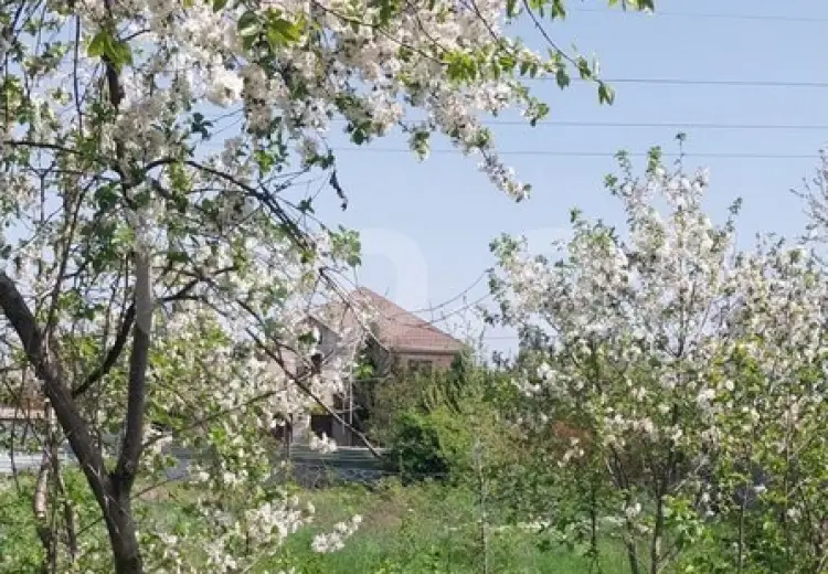 0 m² Obyekt / Ofis , Ağdaş