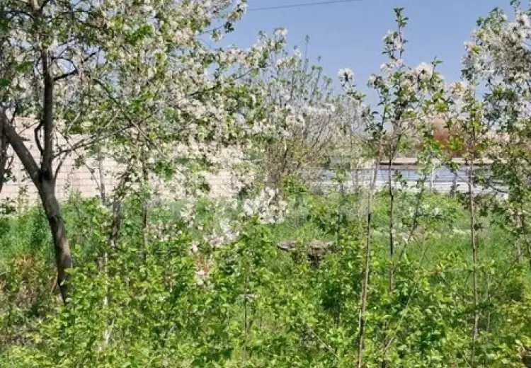 0 m² Obyekt / Ofis , Ağdaş