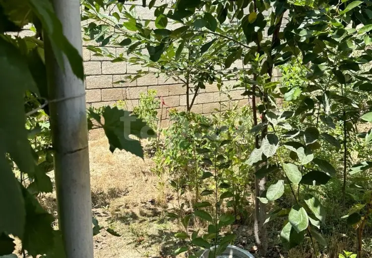 2 otaqlı mənzil , Şamaxı
