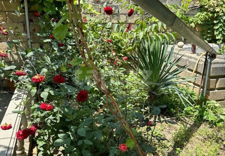 2 otaqlı mənzil , Şamaxı