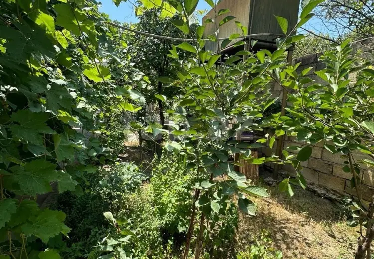 2 otaqlı mənzil , Şamaxı