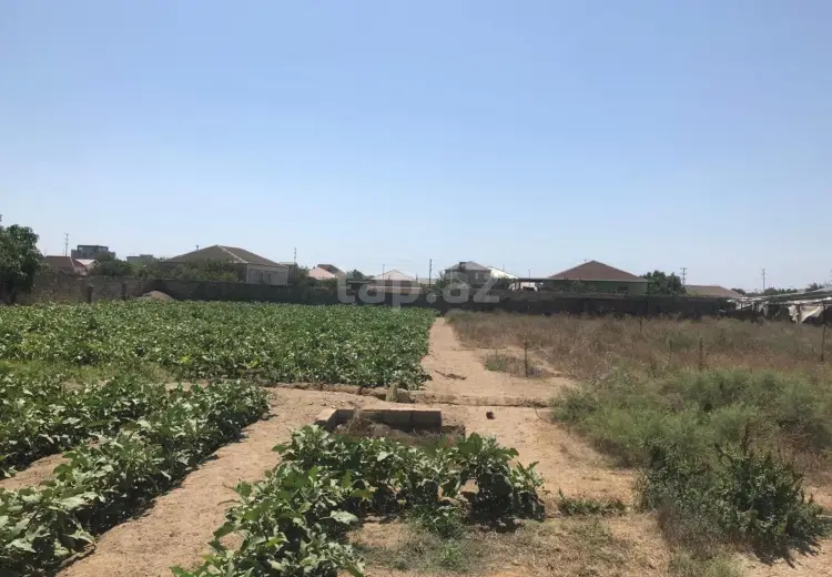 0 m² Obyekt / Ofis , Bilgəh qəs., Sabunçu, Bakı
