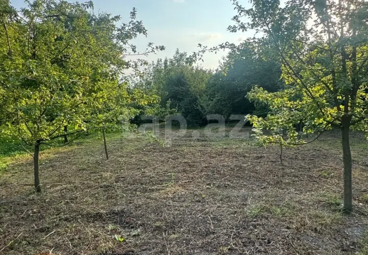 0 m² Obyekt / Ofis , Qəbələ