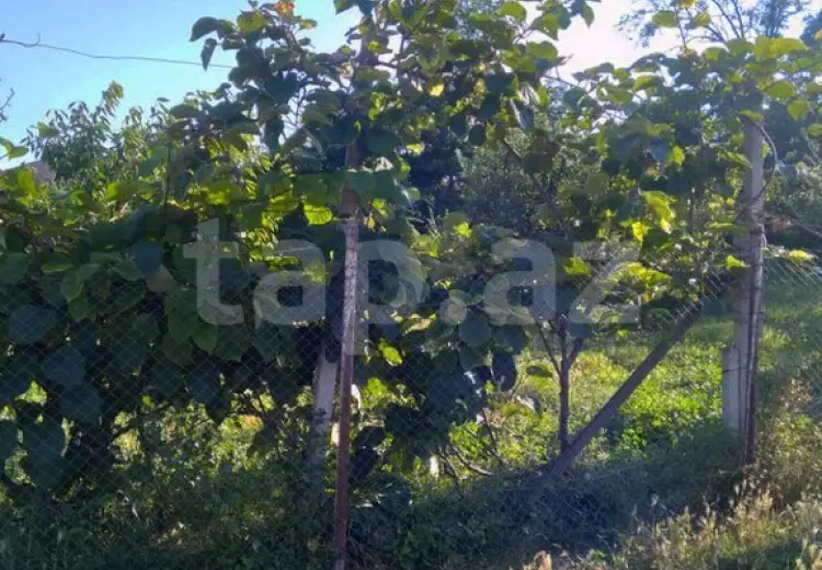 8 otaqlı mənzil , Qusar