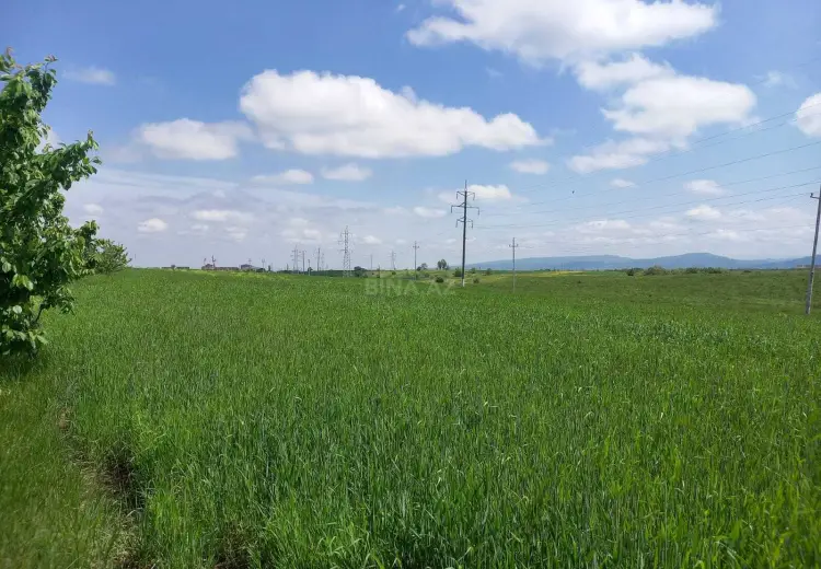 60 sot Torpaq Satılır, Quba