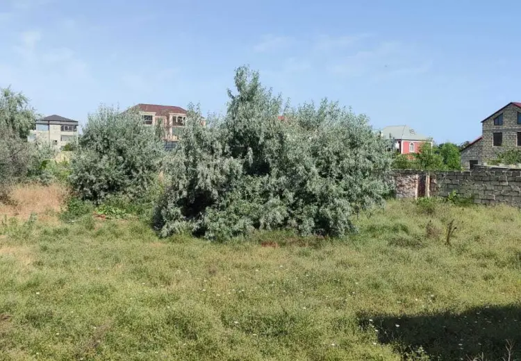 18.1 sot Torpaq Satılır, Novxanı, Abşeron