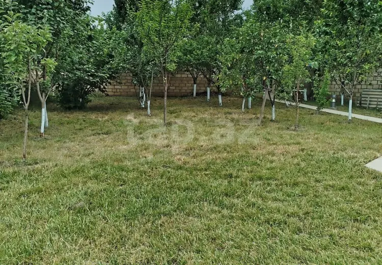 6 otaqlı mənzil , Qusar