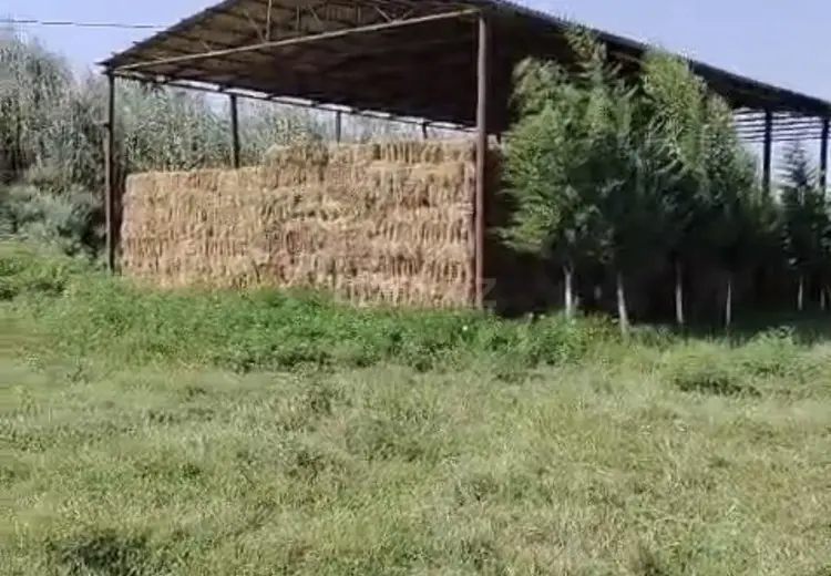1000 m² Obyekt / Ofis Satılır, Salyan