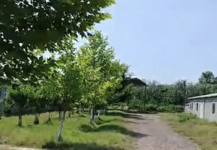 1000 m² Obyekt / Ofis Satılır, Salyan