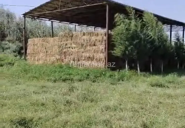 420 sot Torpaq Satılır, Salyan