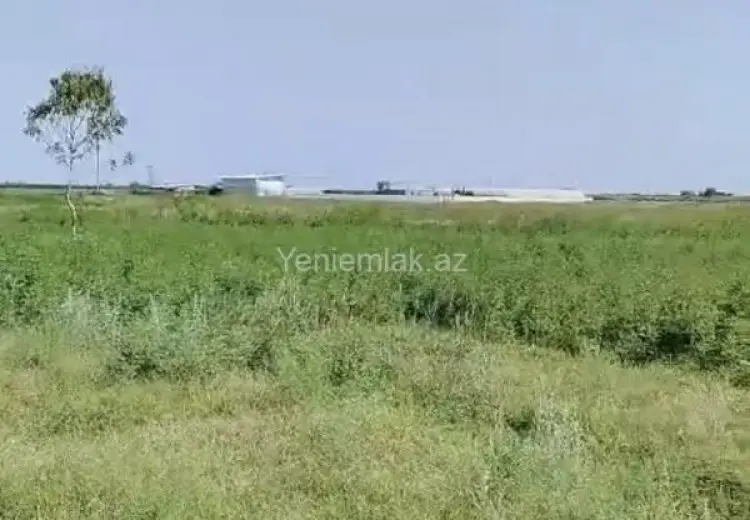 420 sot Torpaq Satılır, Salyan