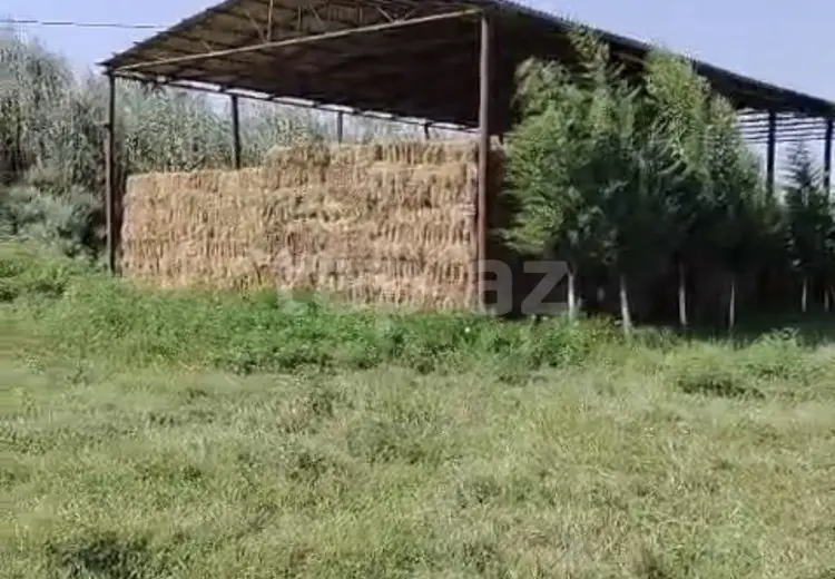 0 m² Obyekt / Ofis , Salyan