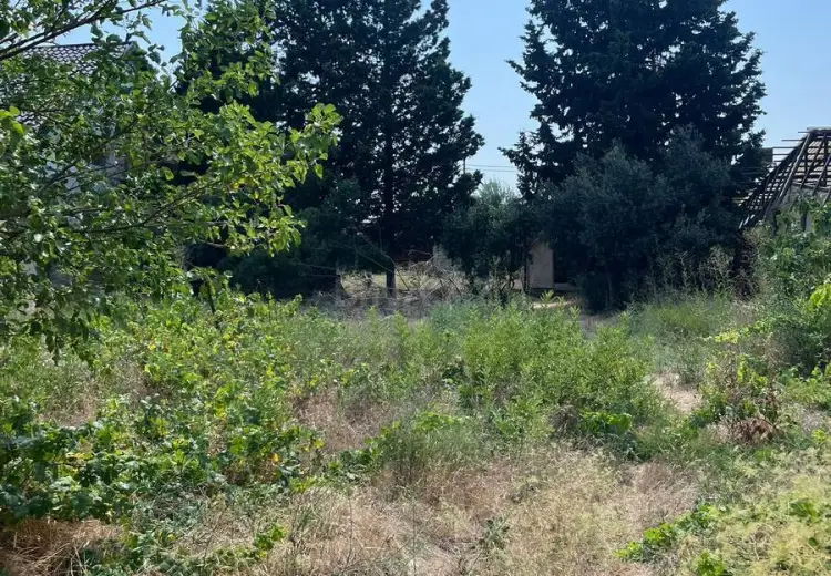 11 sot Torpaq Satılır, Buzovna, Xəzər, Bakı