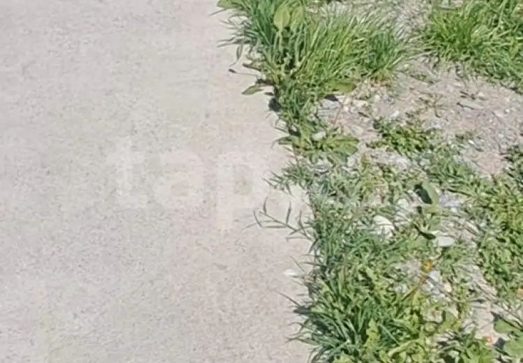 3 otaqlı mənzil , Şəki
