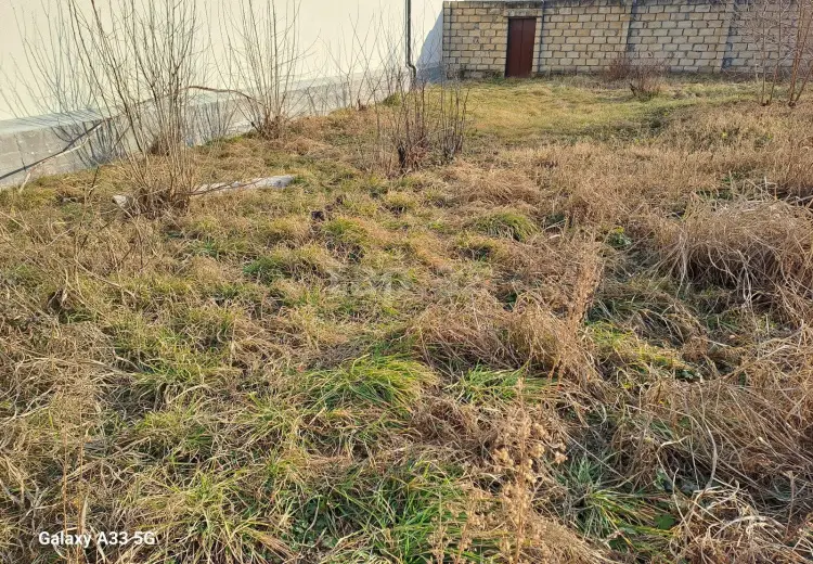 0 m² Obyekt / Ofis , Şəki