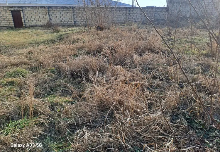 0 m² Obyekt / Ofis , Şəki