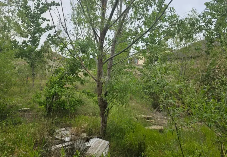4 sot Torpaq Satılır, Mərdəkan, Xəzər, Bakı