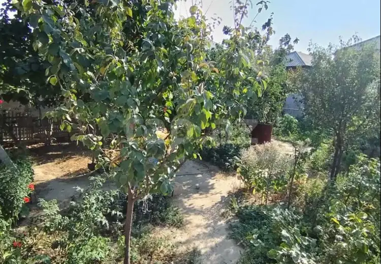 3 otaqlı mənzil , Sumqayıt