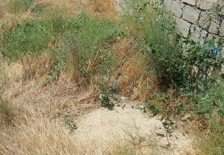 3 sot Torpaq Satılır, Badamdar qəs., Səbail, Bakı