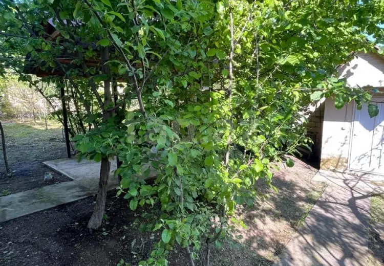 4 otaqlı mənzil Kirayə (günlük), Qəbələ