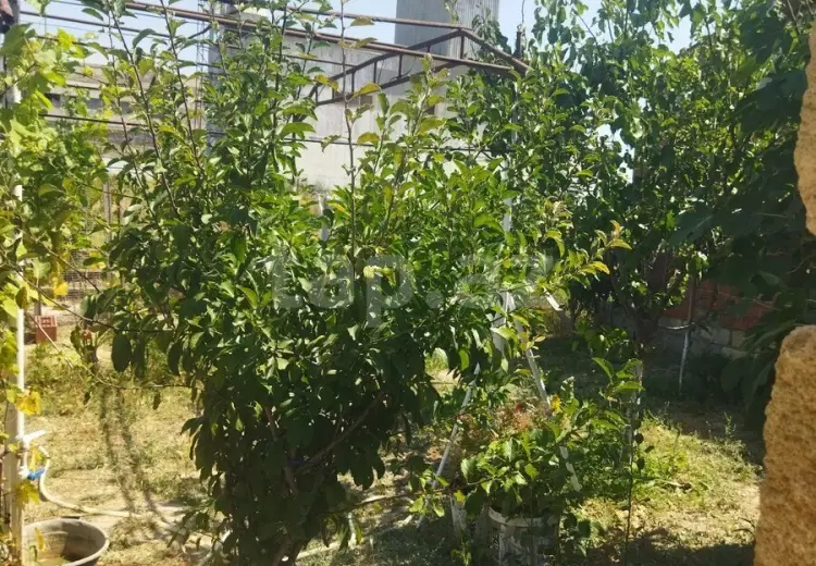 3 otaqlı mənzil , Sumqayıt