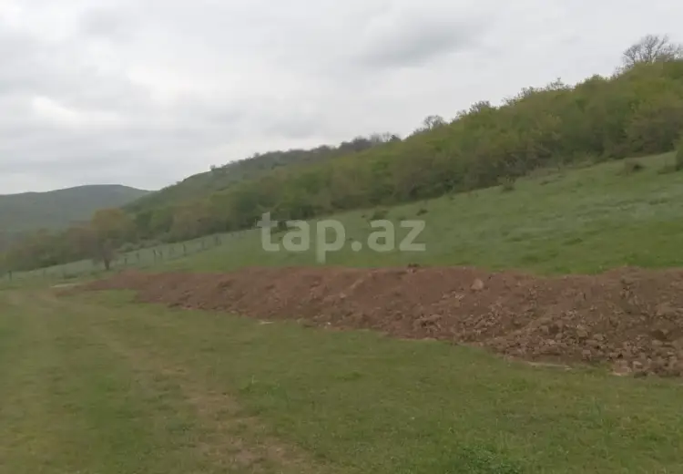 0 m² Obyekt / Ofis , Şabran