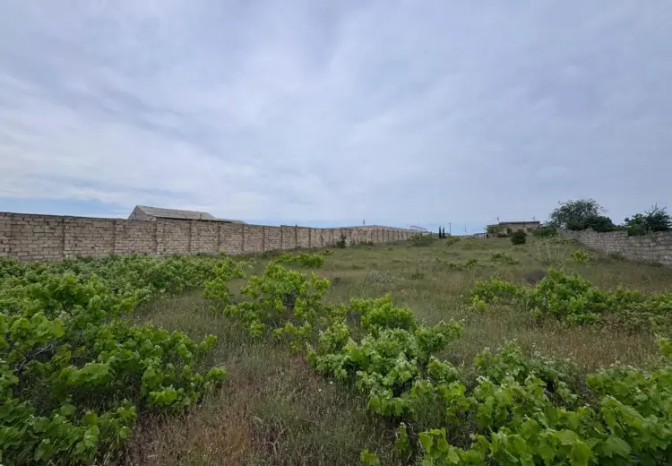24 sot Torpaq Satılır, Nardaran qəs., Sabunçu, Bakı