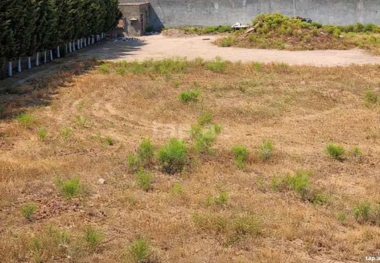 0 m² Obyekt / Ofis , Bilgəh qəs., Sabunçu, Bakı