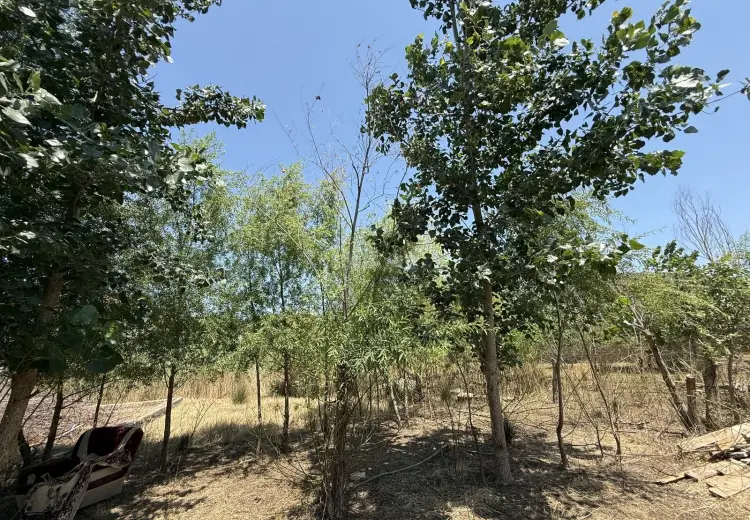 20 sot Torpaq Satılır, Buzovna, Xəzər, Bakı