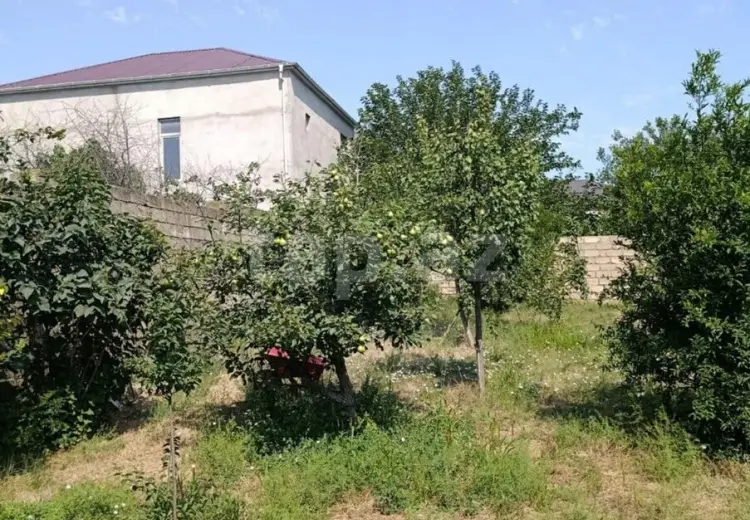 0 m² Obyekt / Ofis , Savalan qəs., Sabunçu, Bakı