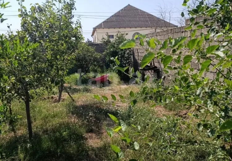 0 m² Obyekt / Ofis , Savalan qəs., Sabunçu, Bakı