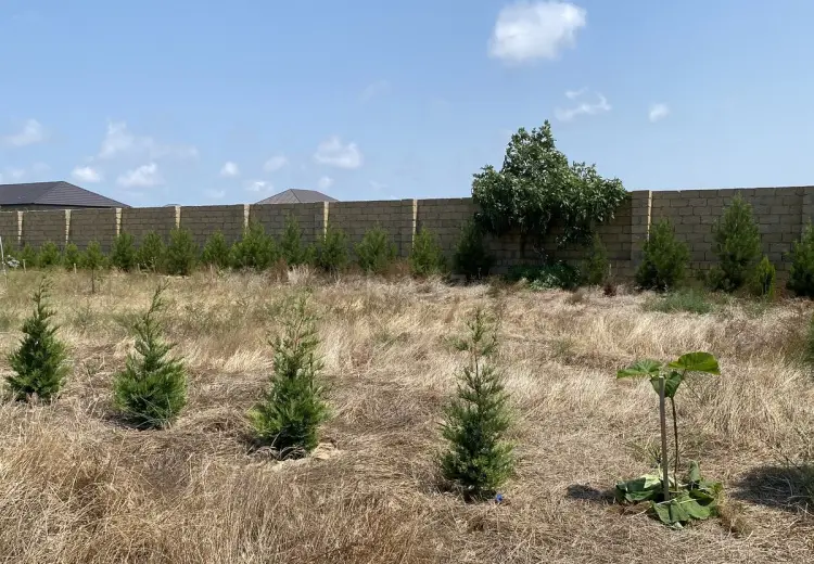 12 sot Torpaq Satılır, Nardaran qəs., Sabunçu, Bakı