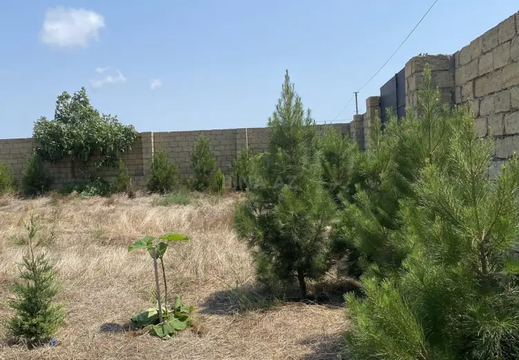 12 sot Torpaq Satılır, Nardaran qəs., Sabunçu, Bakı