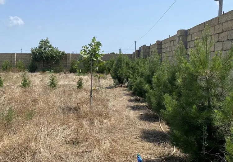 12 sot Torpaq Satılır, Nardaran qəs., Sabunçu, Bakı