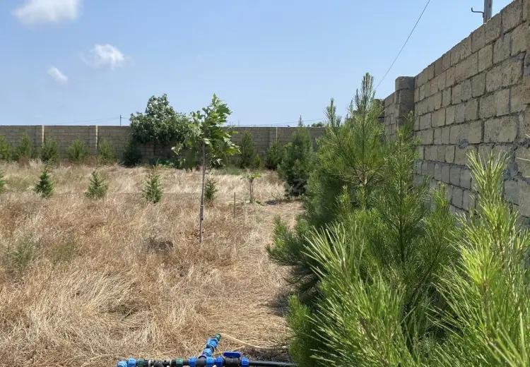 12 sot Torpaq Satılır, Nardaran qəs., Sabunçu, Bakı