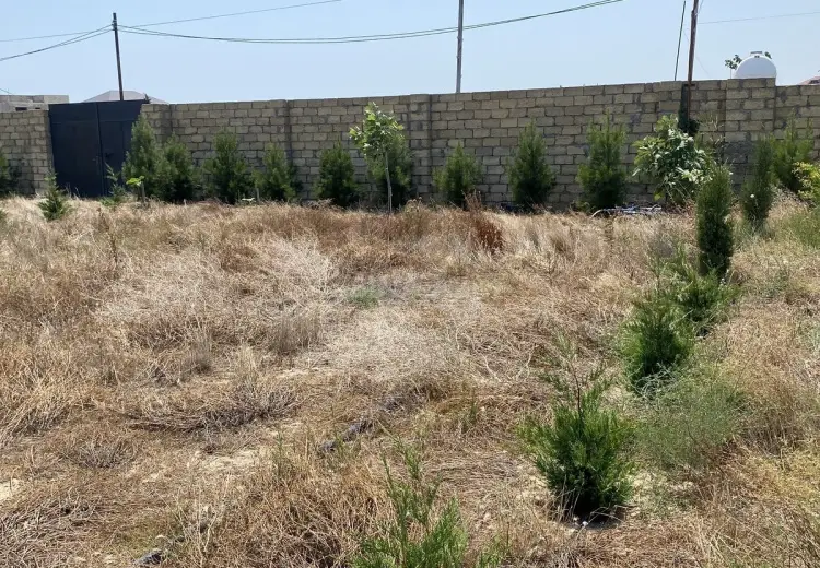 12 sot Torpaq Satılır, Nardaran qəs., Sabunçu, Bakı