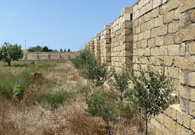 12 sot Torpaq Satılır, Nardaran qəs., Sabunçu, Bakı