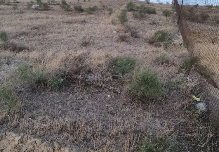 6 sot Torpaq Satılır, Digah, Abşeron