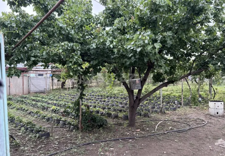 8 otaqlı mənzil , Şəmkir