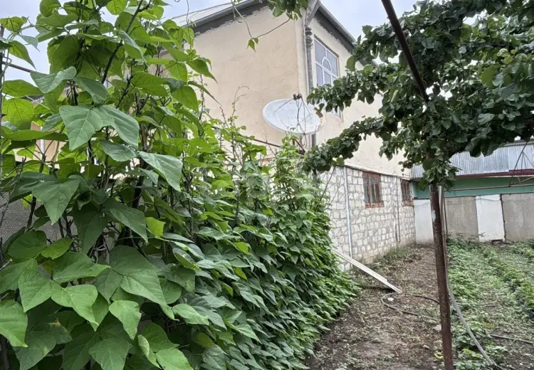 8 otaqlı mənzil , Şəmkir