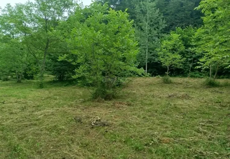 19 sot Torpaq Satılır, Qusar