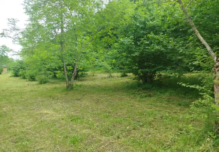 19 sot Torpaq Satılır, Qusar